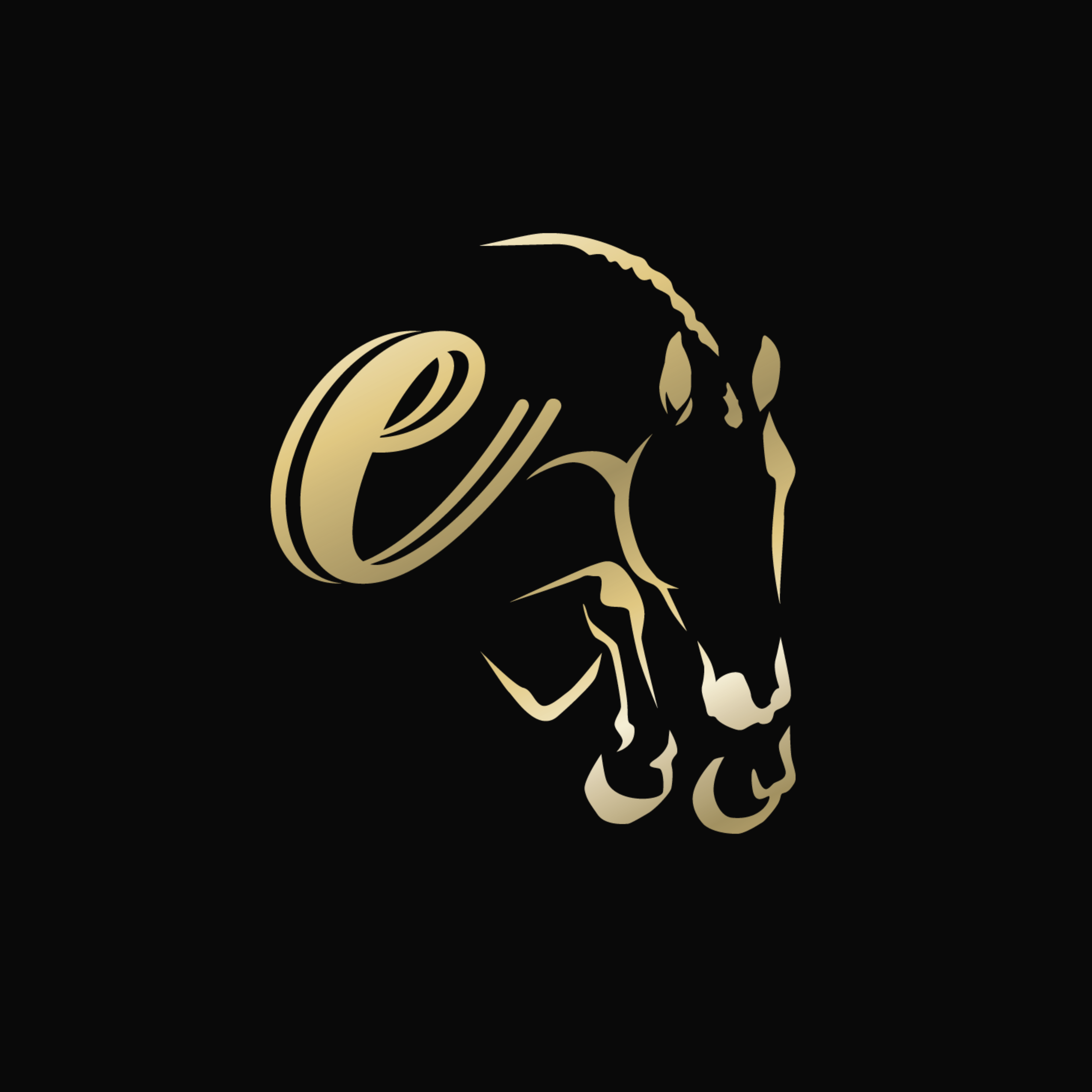 Horse-Test | 1990 | 11.1h | American Warmblood | Gelding